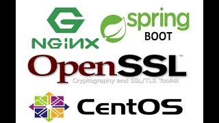 [NGINX SSL & SPRING BOOT SSL] 1.openssl & nginx install example