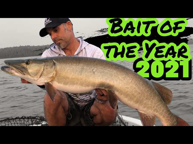 TOP 5 MUSKY FISHING BAITS!!! The very best baits we used in Northwestern  Ontario in 2021!! 