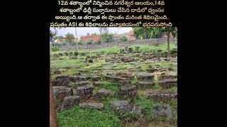 temple Ruins Halebidu #hindutemple #hoysaleswaratemple #travel #vikriworld #halebidu #telugufacts