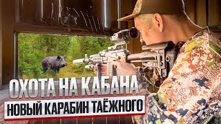 ОХОТА НА КАБАНА 2025 // ОБНОВЛЯЮ КАРАБИН // БОГАТОЕ ОХОТХОЗЯЙСТВО