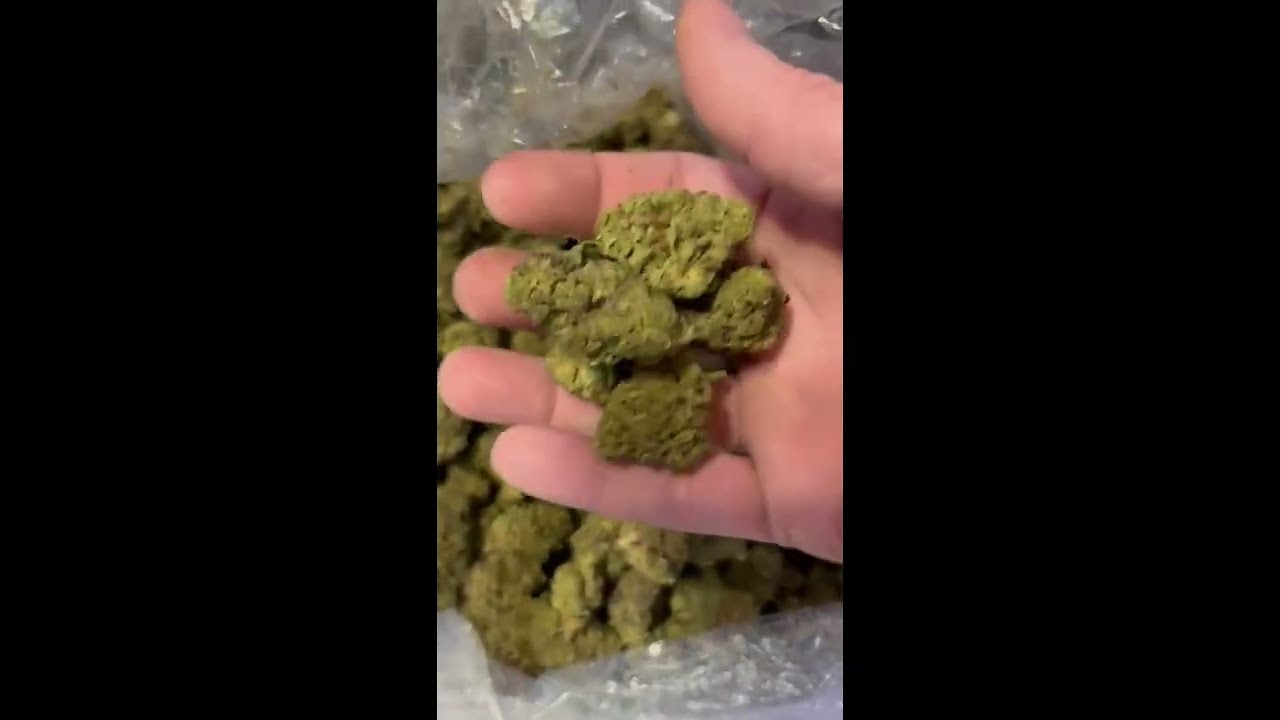 Cheapest Top Shelf Light Dep THCA Flower (Wholesale Bulk) Real Unboxing