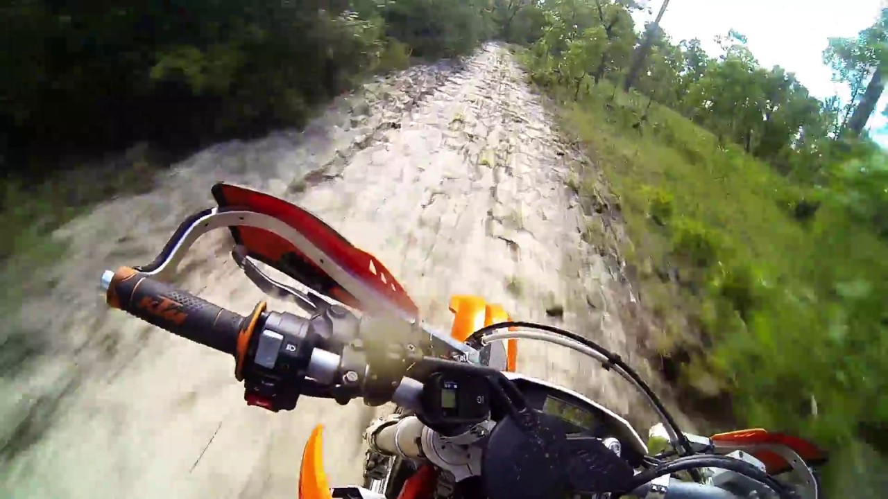 Ocala National Forest Trail Ride 2 YouTube