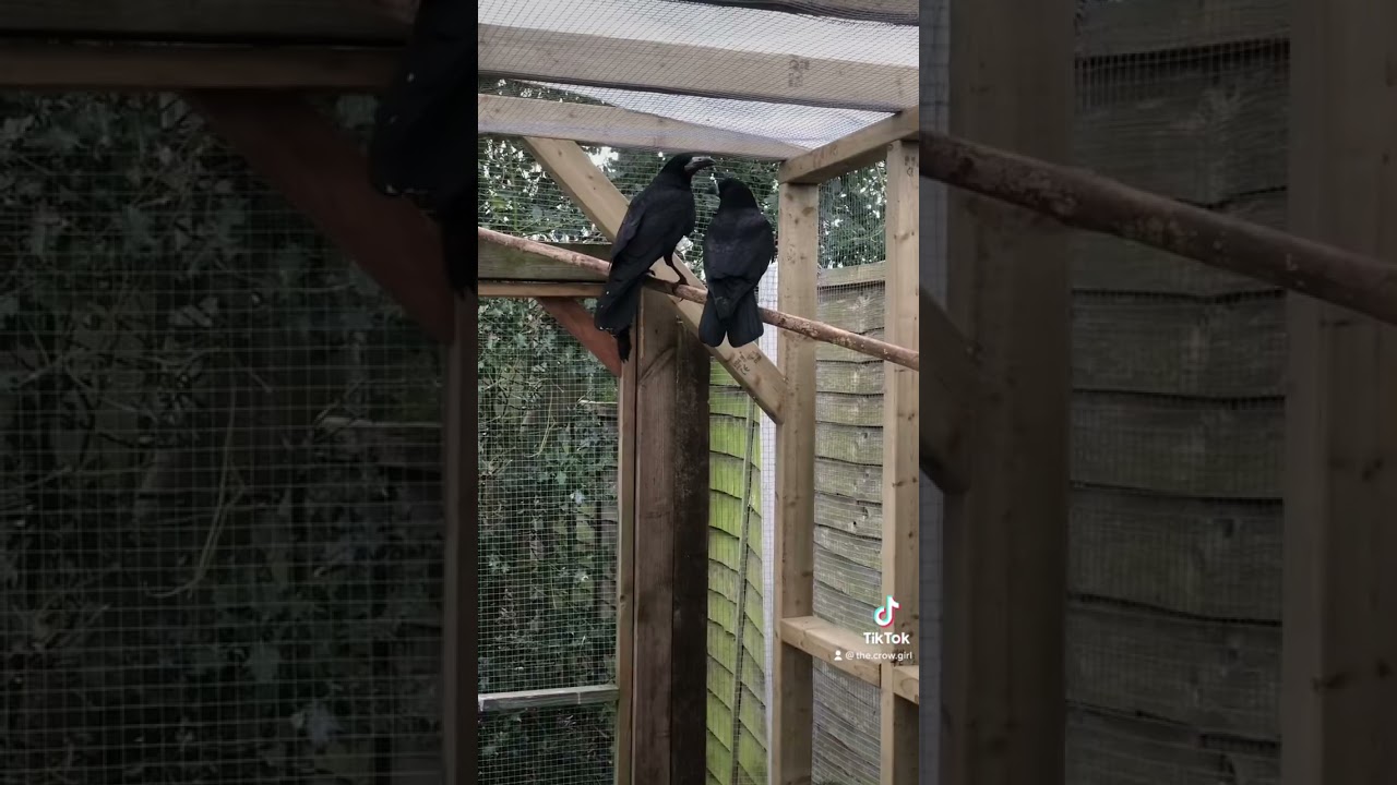 Poor Kit and May 🤣 