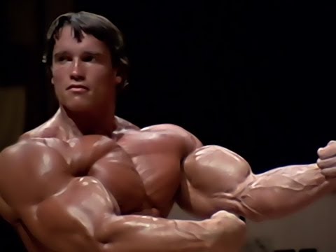 Arnold Schwarzenegger Bodybuilding Training Motivation No Pain Images, Photos, Reviews