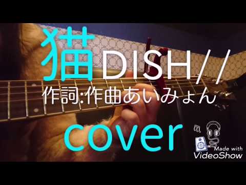 【弾き語り】猫/DISH//  cover