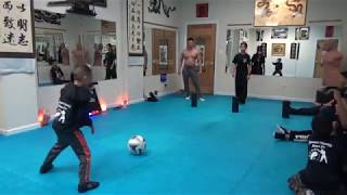 Soccer Ball Precision Kicking Kung Fu Challenge