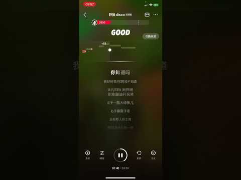 野狼disco