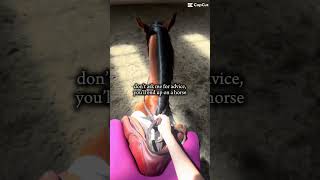 🐴🤪 #eq #equestrian #horse #fyp #tiktok #shorts #viral