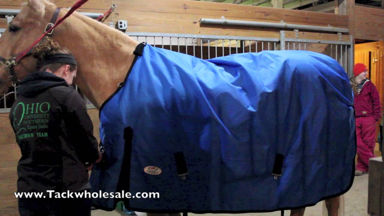 Derby Heavy Duty 1200D Exclusive Horse Winter Blanket YouTube