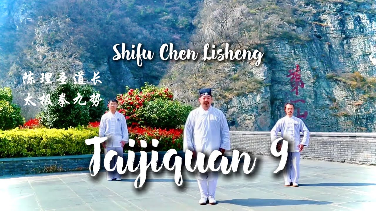 WUDANG TAIJIQUAN | Forma de 9 Movimientos Xuanwupai - Por SHIFU CHEN LISHENG  / 武当太极拳九势 演陈理圣道长