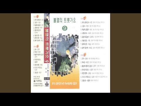 A Boarder (하숙생)