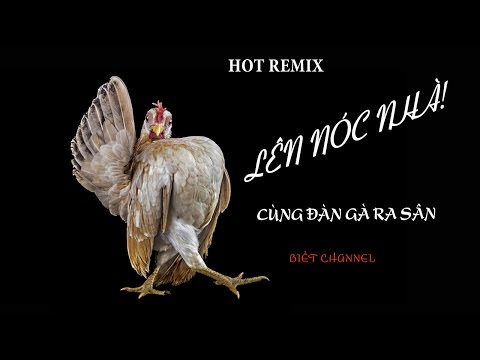 Video Remix Cực HOT 
