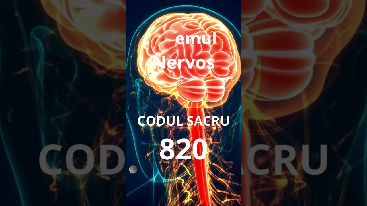 SISTEMELE CORPULUI UMAN - CODURI SACRE SPECIFICE