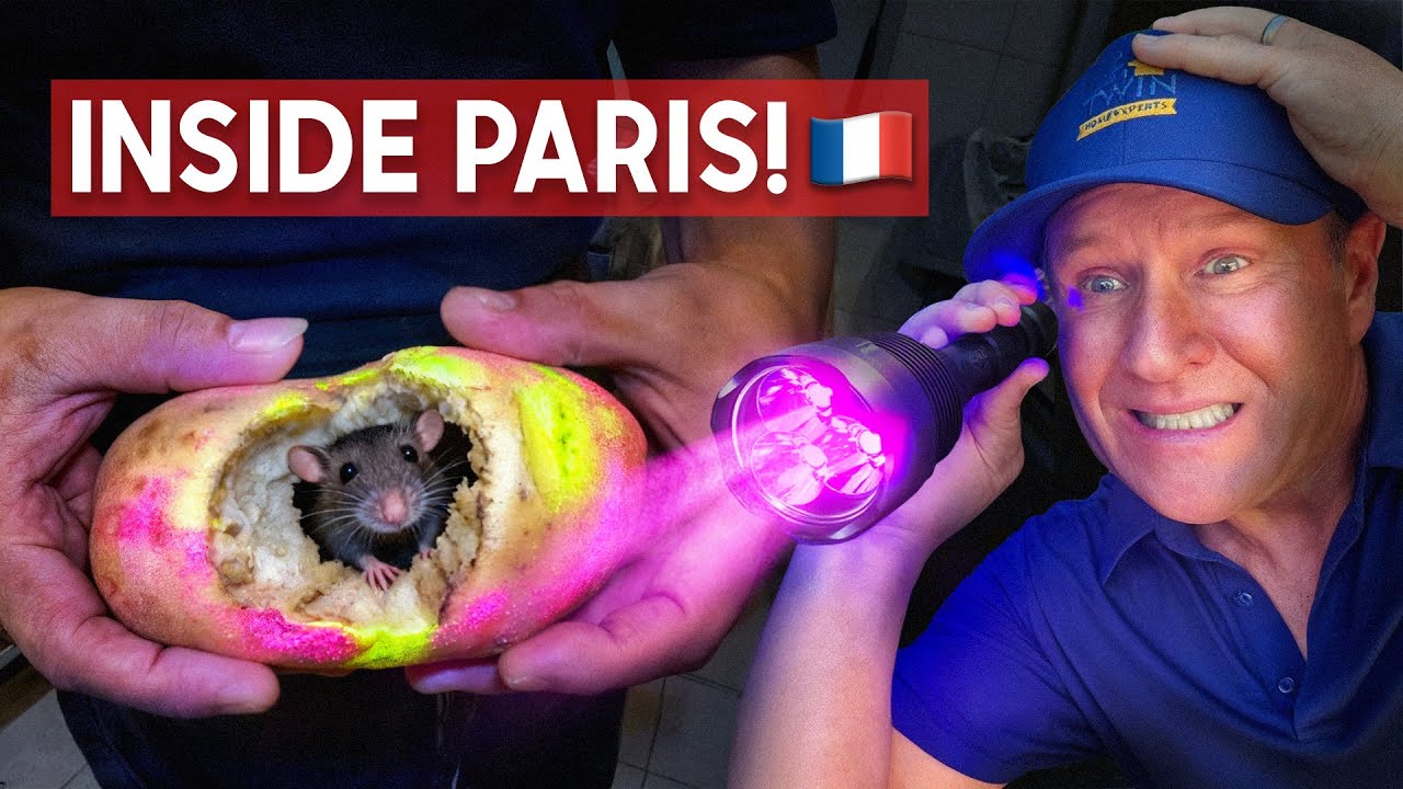 I Can’t Believe What I Found in Paris 😱🇫🇷 – Twin Home Experts