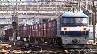 JR貨物 EF210-301号機+コキ14B 貨物列車95レ 広島→横川 2013.12