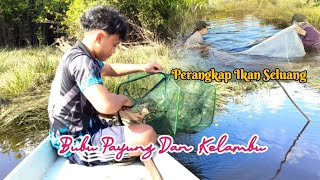 Cara Menangkap Ikan Seluang Di Sungai fypviral 