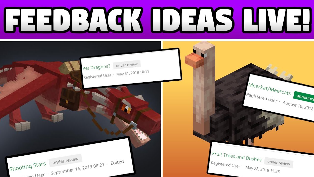 Minecraft Feedback