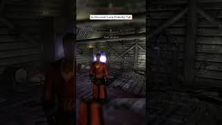 Is this mod lore-friendly?