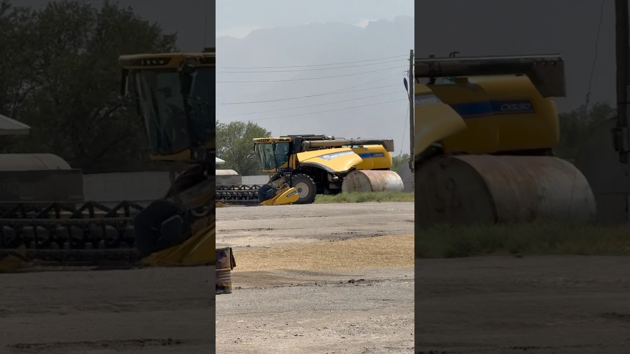 New Holland CX5.90🇰🇿 