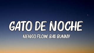 Ñengo Flow, Bad Bunny - Gato de Noche (Letra_Lyrics)