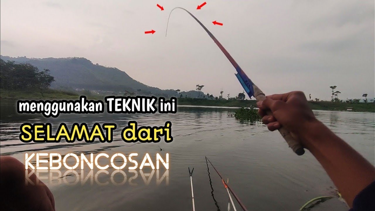 MENCOBA ISENG PAKE TEKNIK INI‼️EHH... IKAN MALAH MAU MAKAN‼️WADUK SELOREJO NGANTANG