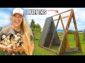 DIY Portable Duckling Coop for Free 🦆