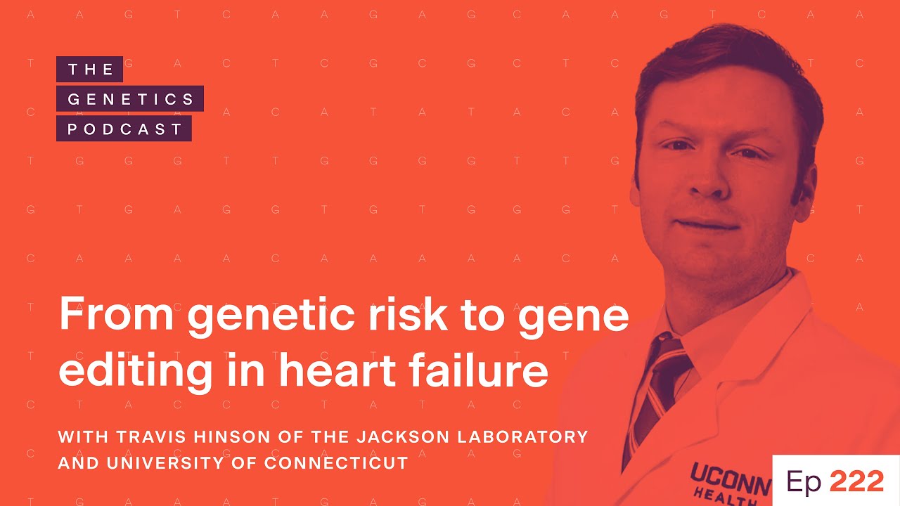 EP 222: From genetic risk to gene editing in heart failure with Travis Hinson of JAX and UConn