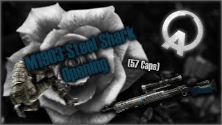 AVA Global - M19 Shark