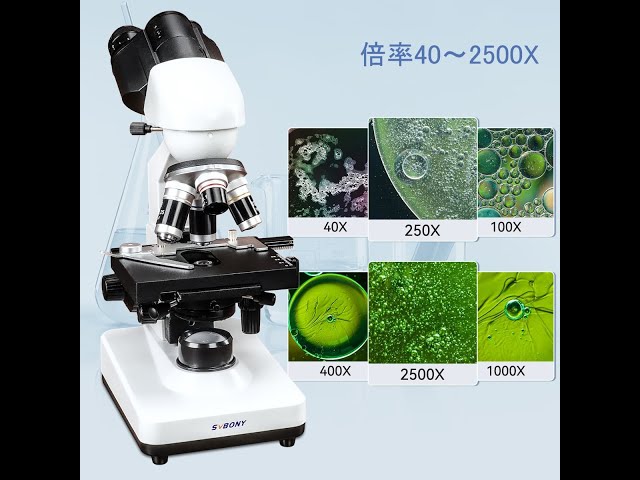 SM201 複合双眼顕微鏡 40～2500X プロフェッショナルな双眼顕微鏡教育