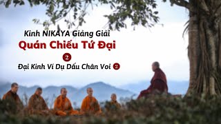 Kinh NIKAYA Giảng Giải - Quán Chiếu Tứ Đại 2 ( Đại Kinh Ví Dụ Dấu Chân Voi 2 )