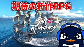 『第五人格』スタジオの新作オープンワールド海賊RPG『シーオブレムナンツ』プレイすっぞ！ | TIE Ru