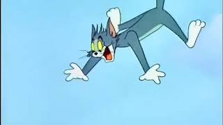 Tom And Jerry Cartoon Cat Napping 6 Tom And Jerry Cartoon Epesoid Slicked Up Pup
