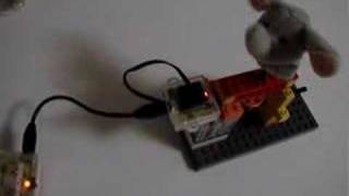 Cat & Mouse - Pico Cricket