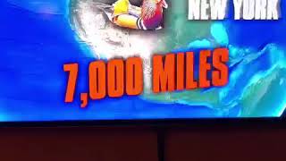 I Skipped Work To See The Duck