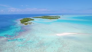 🔴 12 Hours of French Polynesian Islands