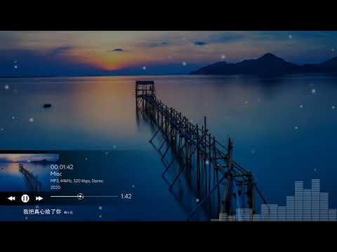2020華語網絡流行音樂 ||《我把真心給了你》|| 韓小欠 || 動態歌詞