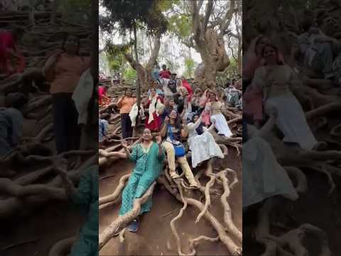 Guna Cave #kodaikkanal #gunacave #goviral #shorts #kodaihills #travelvlog