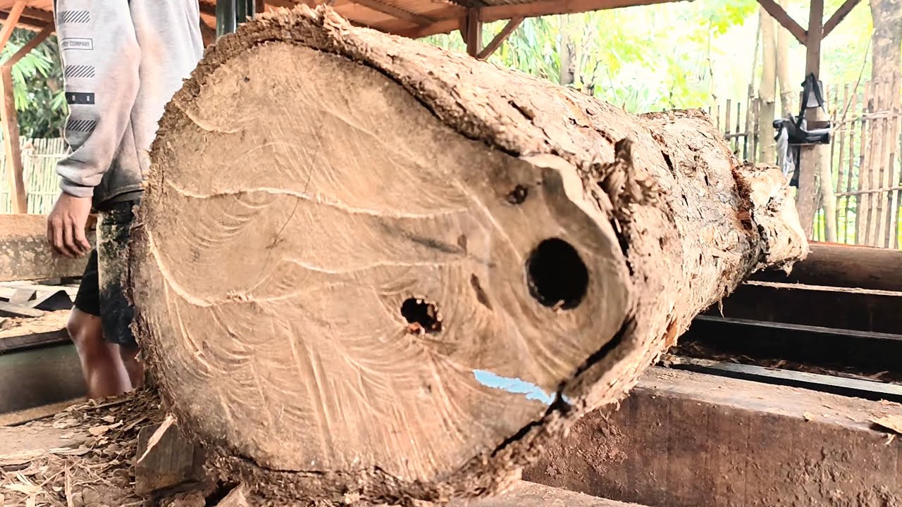 Technique for sawing long logs || sawmill 
