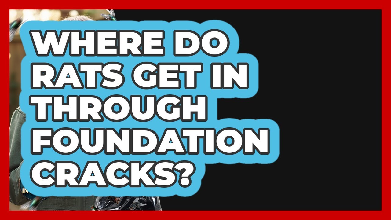 Where Do Rats Get In Through Foundation Cracks? - Insects and Invaders