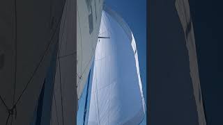 Celebrity Precision Sails Cruising  Code 0 first flight Net Worth
