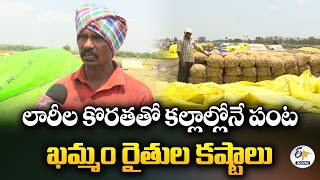 Khammam Maize Farmers Struggle as Crop Stuck Due to Lorry Shortage