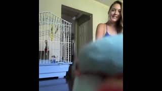 Parrot is better at Flirting Than You