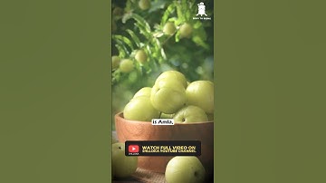 Superfood For an Immortal Body | Guru Pashupati on BODY TO BEIING | SHLLOKA