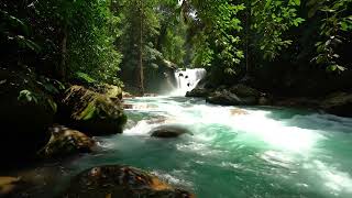 4K Gentle Mountain River in Montana Backcountry | Water Sounds White Noise | Sleep and Relaxation