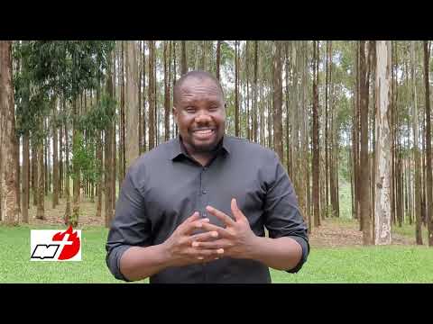 Rebuilding Grassroot Ministries (Youth Life Opportunities Ps 144:12)