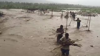 Hurricane Matthew is first Category 4 hurricane that has hit Haiti in decades