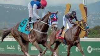 Live Race  day preview Saturday may 16 2026 / horses Racing Tips