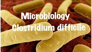 Medical Video Lecture: Clostridium Difficile, Microbiology