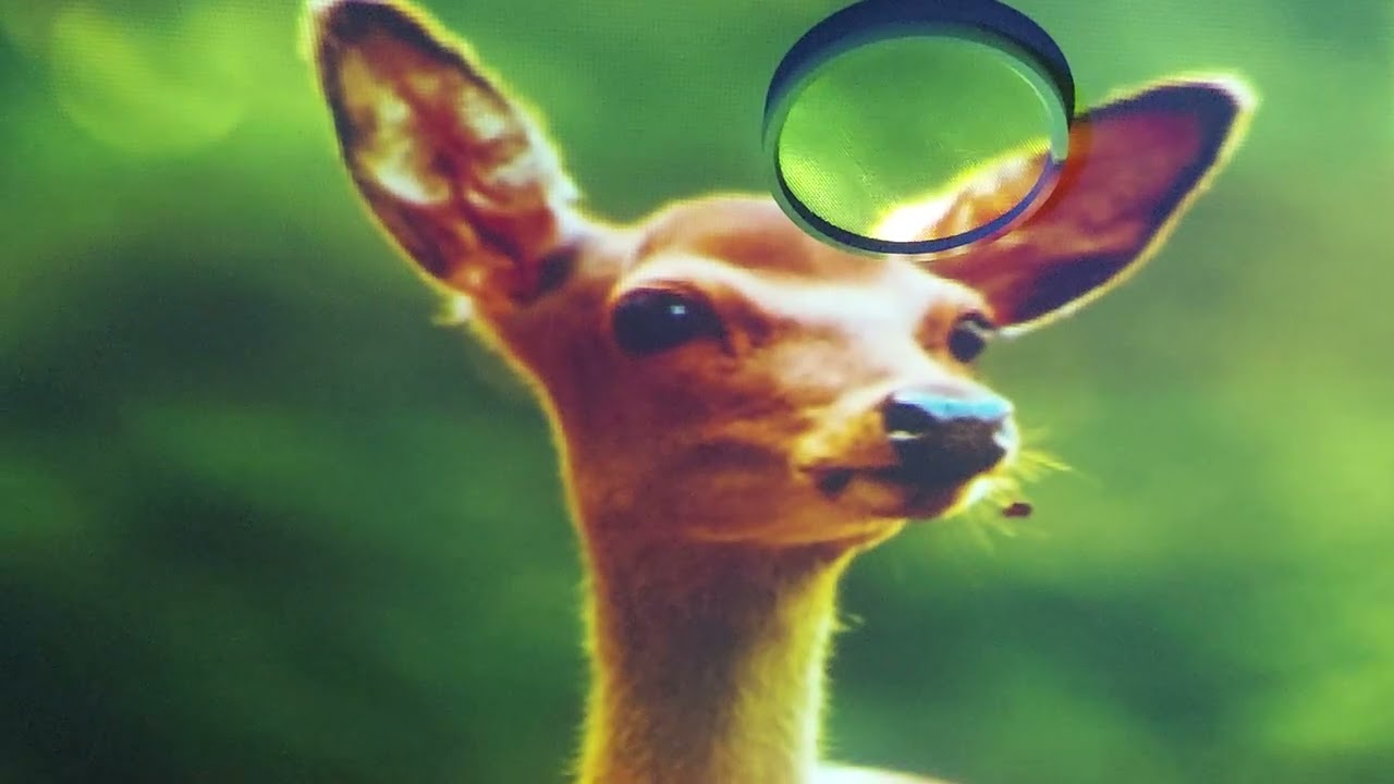 COME JUDGE: GOD'S TECHNOLOGY COLOR TEST @CROW_BH11  ANY COMMENTS! 