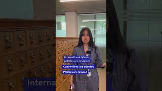 Ilc Echo  Introduction